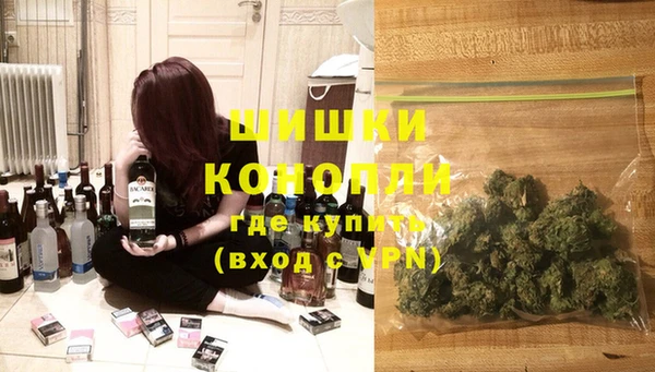 крисы Медногорск