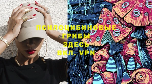 спайс Медвежьегорск