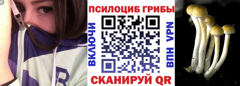 Псилоцибиновые грибы прущие грибы  купить закладку  Миасс 